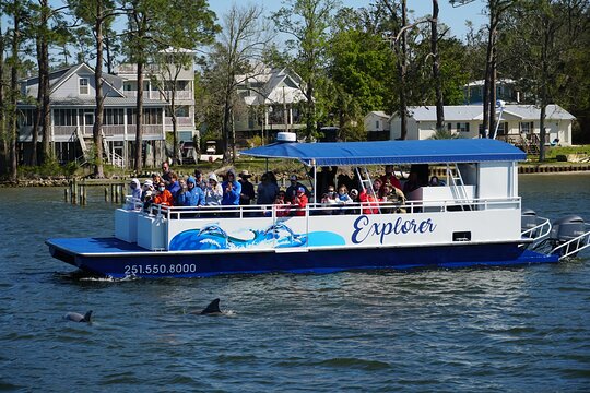 2 Hour Dolphin and Nature Eco Tour from Orange Beach  Private Tours and Travel Guide America Chicago CITY Orange Beach Destination Tour