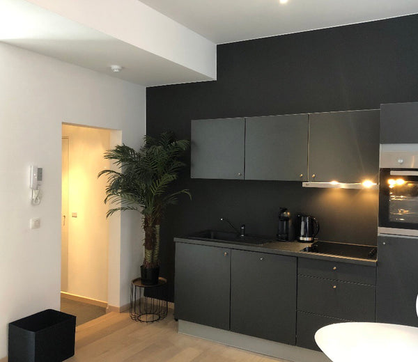 Antwerp city Entire rental unit vacation rental 43740067