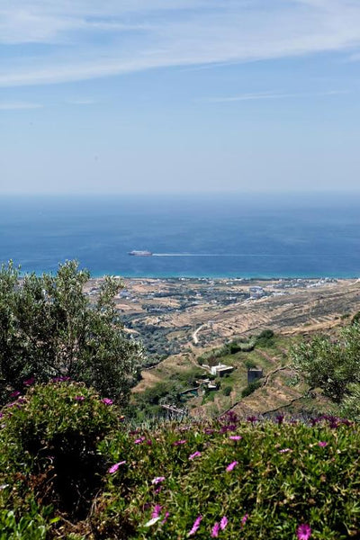 With ample room to share your vacation in the Cyclades with family and friends,  Greece 2 Bedroom Spa Suite Sea View | Aeolis Tinos Suites Earthen home vacation rental 28947505