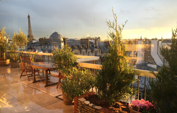 Vue Eiffel Tower<br />Exceptionnel appartment 5 mn from Arc de triomphe 