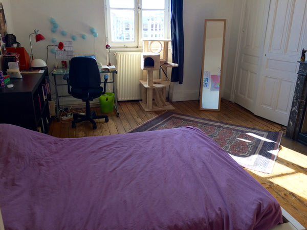 Notre appartement de 66m2, est situé à 2min à pied des métro (Garibaldi et Saxe  Claveyson, France Lyon centre idéal pour jeune couple Entire rental unit vacation rental 11404660