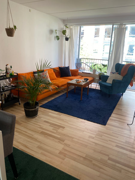 Læn dig tilbage, og slap af i denne rolige og stilfulde bolig. God til en famili Copenhagen, Denmark Skøn 3 værelses lejlighed, få minutter fra kanalen Entire rental unit vacation rental 646074605971171071