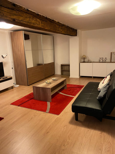 Simplifiez-vous la vie dans ce logement paisible et central.<br /><br />Ce coque Istanbul, Turkey Cozy apartment in the heart of Brussels Entire rental unit vacation rental 50873361