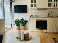 Luxury apartment for 2-4 persons <br /> <br />Fantastic apartment with a balcony Aalborg, Denmark aday - Dagmarsgade Groundfloor Studio Entire rental unit vacation rental 50267274