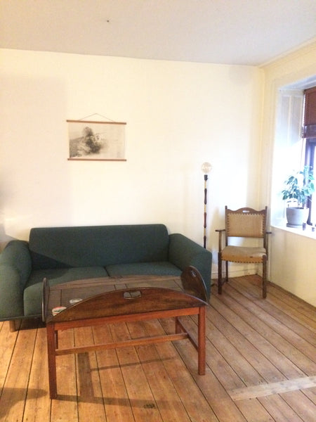 One-bedroom apartment (65 m2) with spacious living room and full amenities in th Copenhagen, Denmark Cosy flat in the heart of Nørrebro Entire rental unit vacation rental 32165917