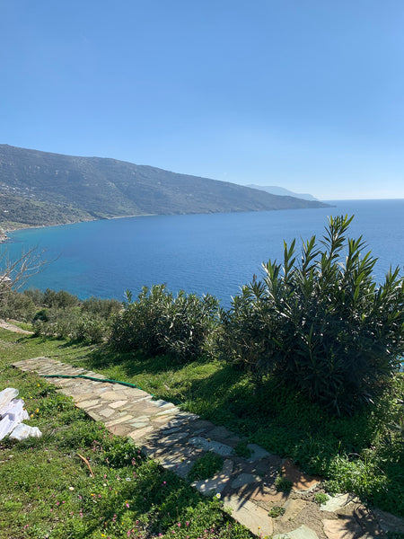 Lonely stone studio, newly built (2021), with magnificent views of the Aegean Se Athens, Greece Διακοπές στην Ανδρο Private room in tiny home vacation rental 35503384