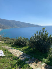 Lonely stone studio, newly built (2021), with magnificent views of the Aegean Se Athens, Greece Διακοπές στην Ανδρο Private room in tiny home vacation rental 35503384