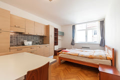 Je to ode mě blízko do Tančící dům. Karlův most, národní divadlo, Žofín, Náplavk Prague, Czechia studio Jitka Entire rental unit vacation rental 13735622