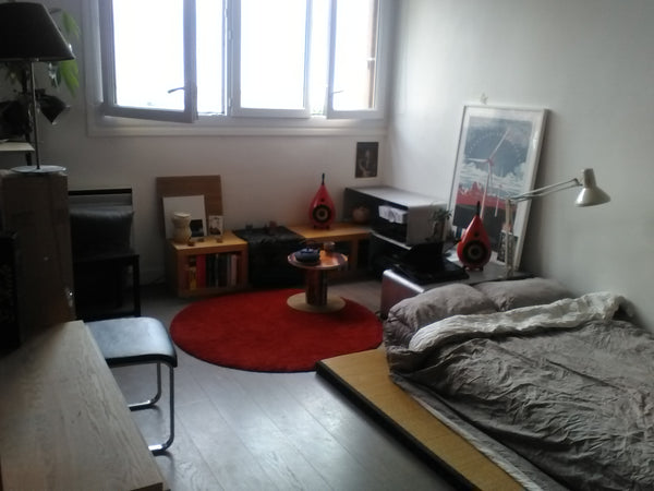 Studio de 25m2 <br />Zen et lumineux : orienté sud avec 4 fenêtres, coin salon c Paris, France Studio zen et lumineux, parc de Belleville Entire rental unit vacation rental 20468344