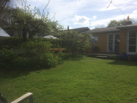 A small house in a big park, close to the sea, perfect start point for bike trip Copenhagen, Denmark Small room with a singel bed Private room in guesthouse vacation rental 36529166