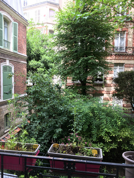 Au coeur de Montmartre, rue Lepic, entre la basilique et le Moulin Rouge, bel ap Paris, France Montmartre, rue Lepic Entire rental unit vacation rental 13427189