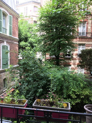 Au coeur de Montmartre, rue Lepic, entre la basilique et le Moulin Rouge, bel ap Paris, France Montmartre, rue Lepic Entire rental unit vacation rental 13427189