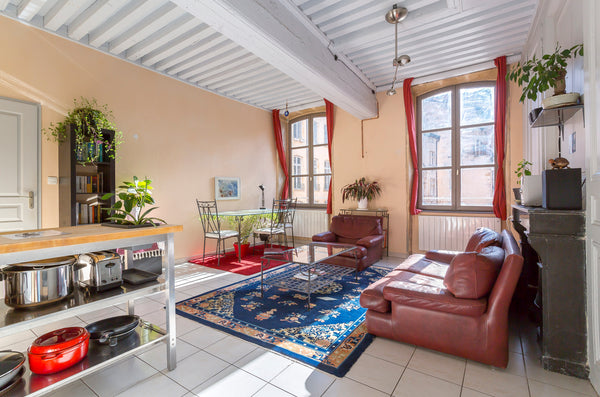 *** Adapted to follow the health instructions and face COVID-19. ***<br />A cosy Lyon, France Spacious flat, at the heart of 