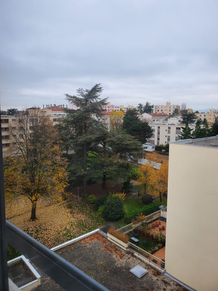 A peaceful T3 with the view to the Point du Jour Park and close to all the comme Lyon, France Comfy apartment close to Fourvière Entire rental unit vacation rental 53472858