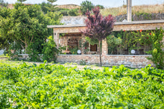 Our home is in the middle of a farm offering a cool patio decorated with a rock  Greece Emilia's Little Farmhouse, for two!! Farm stay vacation rental 53876844