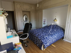Private room with queen bed and work desk (including computer) in a spacious apa Brussels, Belgium Private and spacious room in a shared apartment Private room in condo vacation rental 48262621