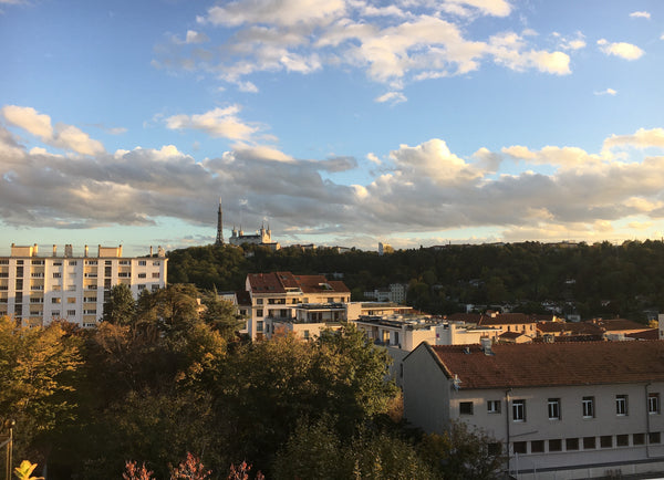 On the Plateau de La CROIX-ROUSSE, in lush greenery and calm<br />Bright apartme Lyon, France Croix-Rousse sur Canopée ! Private room in rental unit vacation rental 52976052
