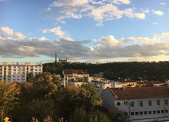 On the Plateau de La CROIX-ROUSSE, in lush greenery and calm<br />Bright apartme Lyon, France Croix-Rousse sur Canopée ! Private room in rental unit vacation rental 52976052