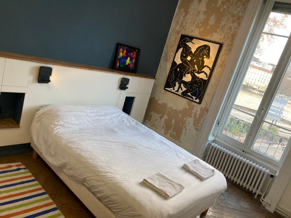 Je mets à disposition une chambre avec salle d’eau fraîchement terminée.<br /><b Lyon, France Chambre deux ou 3 personnes Valmy/Vaise Private room in rental unit vacation rental 53640124