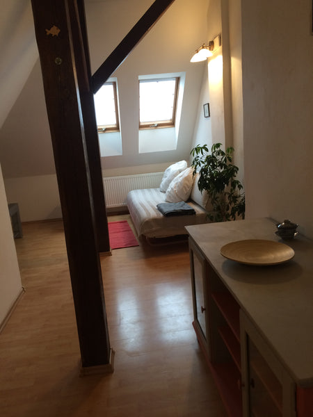 Entire  cozy apartment near Prague castle, bedroom with double bed and extra bed  Quiet loft only 15 min. to the center Entire loft vacation rental 31049615