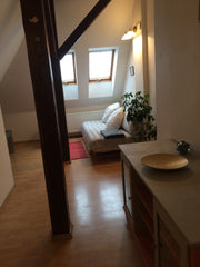 Entire  cozy apartment near Prague castle, bedroom with double bed and extra bed  Quiet loft only 15 min. to the center Entire loft vacation rental 31049615