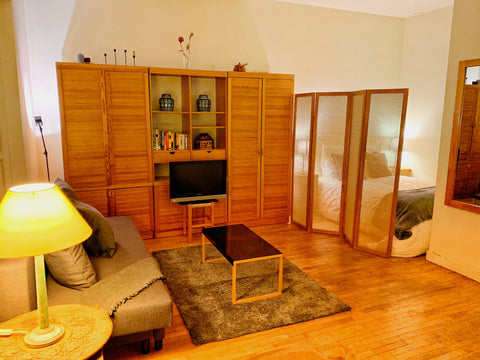 <b>The space</b><br />Idéalement situé en plein cœur de Paris, ce grand studio t  Lovely Flat In The Heart Of Paris , bail mobilite Entire rental unit vacation rental 30160102