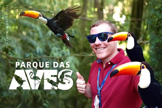 Tour Tour  We take you to the Parque das Aves tour  Private Tours and Travel Guide America Sao Paulo CITY Foz do Iguacu Destination Tour