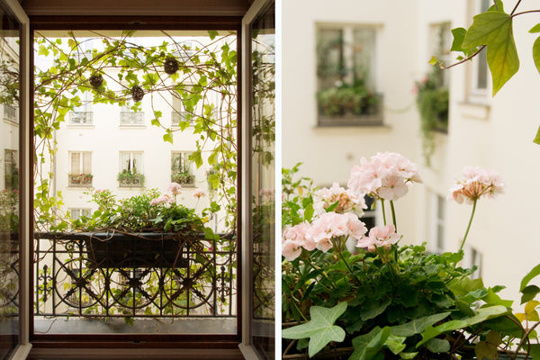 <b>The space</b><br />In the heart of the old  Paris and in the quartier latin,  Paris, France quiet and sweet in  heart of Paris Entire rental unit vacation rental 595610