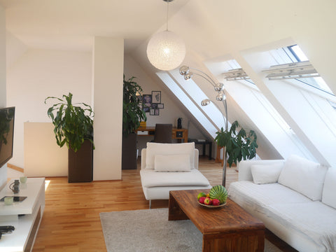 Our beautiful and carefully decorated 2 story roof-top apartement near the main Vienna, Austria 2 story roof-top apartment near Main Train Station Private room in rental unit vacation rental 13150591