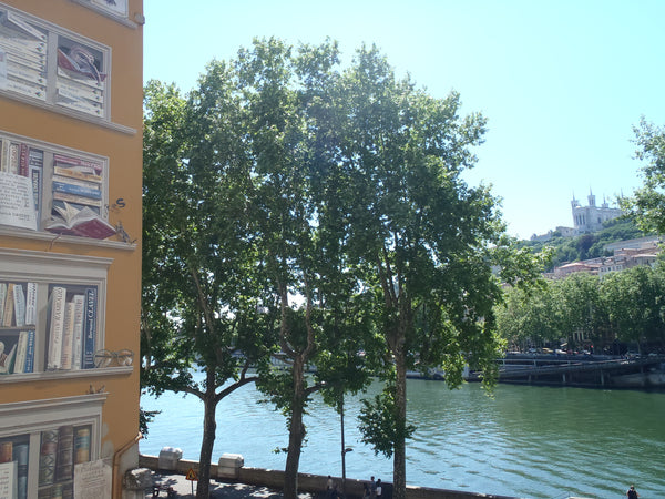 Appt très lumineux sur les quais de Saône niveau Terreaux en plein coeur de Lyon Lyon, France Plein cœur de Lyon! Très belle vue sur Fourvière Entire rental unit vacation rental 13151031