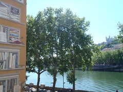 Appt très lumineux sur les quais de Saône niveau Terreaux en plein coeur de Lyon Lyon, France Plein cœur de Lyon! Très belle vue sur Fourvière Entire rental unit vacation rental 13151031