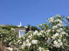 A traditionally-built, independent house for two. 15 min. drive from Mykonos tow Míkonos, Greece MYKONOS LOVE NEST Cycladic home vacation rental 3430558