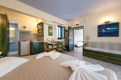 Comfortable, bright and spacious two-bedroom studio (45 sqm) featuring a large t Paros, Greece Anemones Studios Apt#5, Sea View Entire serviced apartment vacation rental 9507586