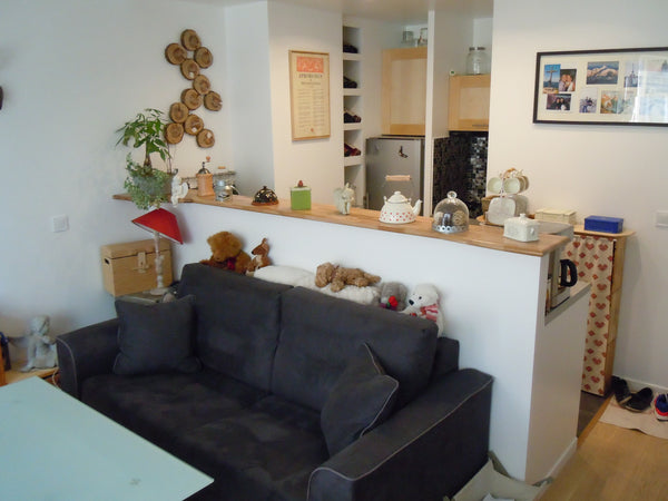 deux pièces refait a neuf , lumineux, avec cuisine équipé, tous confort proche d Paris, France appart 33 m2, à deux pas du Marais Entire rental unit vacation rental 6061582