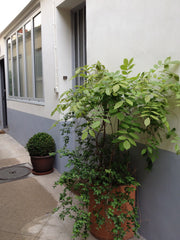 En bordure du quartier historique de la Bastille, ce studio est idéalement situé Paris, France Charmant studio dans le Faubourg Entire rental unit vacation rental 2900018