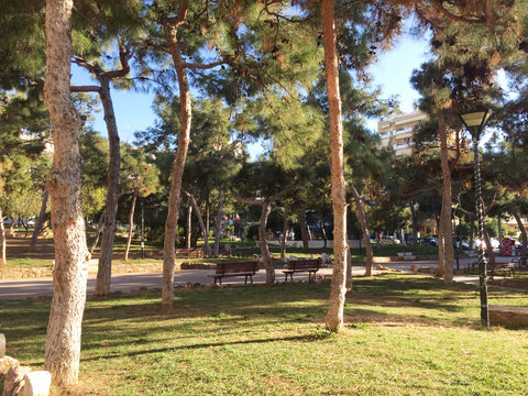 At Cozy Green, you will enjoy friendly environment, in a pleasant area in front  Athens, Greece Cozy Green Entire rental unit vacation rental 31514727