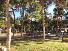 At Cozy Green, you will enjoy friendly environment, in a pleasant area in front  Athens, Greece Cozy Green Entire rental unit vacation rental 31514727