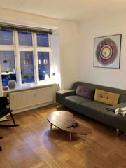 Bright and cozy apartment in the authentic Copenhagen-area of Norrebro:<br /><br Copenhagen, Denmark Cosy and bright apartment in Norrebro Entire rental unit vacation rental 24503518