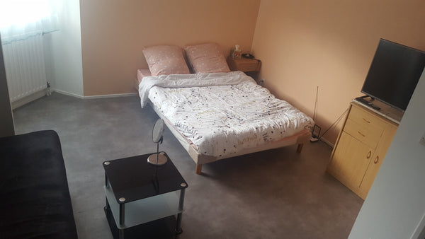 Chambre dans un T2 située dans le 6e arrondissement a 100 mètre du parc de la tê Lyon, France Chambre Privé Private room in rental unit vacation rental 36257033