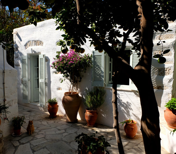 Our house is a truly unique place, set in the old town centre of Paroikia. <br /  Jasmine House - Less can be more! Entire rental unit vacation rental 19076319