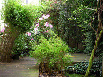 Cet appartement élégant de 70 m² est situé au rez-de-chaussée d'une maison de ma  Bruxelles centre: charmant appartement avec jardin Entire rental unit vacation rental 689011984087923444