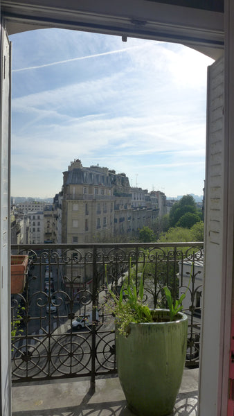 Typical Parisian flat, 40 m2, charming, very bright, with view. Balcony.<br />Id Poitiers, France Very bright flat in Montmartre, under Sacré Coeur Entire rental unit vacation rental 17934349