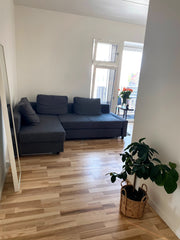 Cozy and modern apartment near the center, the apartment has 1 bedroom, living r Copenhagen, Denmark Great apartment near the center. Entire condo vacation rental 616491706159582482