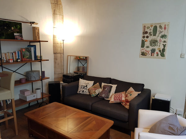 Magnifique appartement de 50m2.<br />Vous apprécierez le charme de l'ancien, ave Lyon, France Appartement typique 50m2 au coeur du Vieux Lyon Entire rental unit vacation rental 38082072