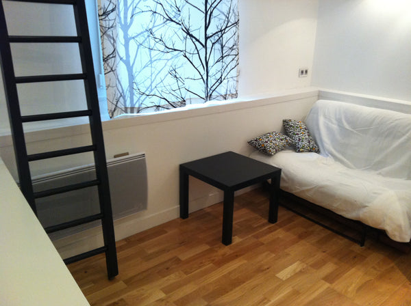 Studio de 13m2 avec une mezzanine pour le lit (4,5m sous plafond),  une salle de  Studio Quartier latin à Paris Entire rental unit vacation rental 7304653