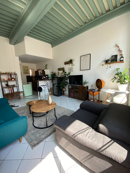 Entre le chaleureux quartier de la Croix-Rousse et l’Hôtel de ville notamment co Lyon, France Appartement cosy entre X-Rousse et Hôtel de ville Entire rental unit vacation rental 676539719039235574