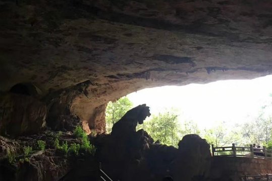 Private Day Tour of Jiuxiang Cave from Yunnan  Private Tours and Travel Guide Asia Shanghai CITY Kunming Destination Tour