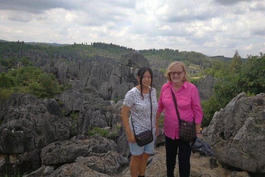 1 Day Stone Forest Geological Park Private Tour with the Lunch from Kunming  Private Tours and Travel Guide Asia Shanghai CITY Kunming Destination Tour