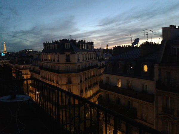 Petit appartement mansardé sous les toits avec terrasse et vue sur Paris. charme Paris, France petit appartement avec terrasse Entire rental unit vacation rental 6492549