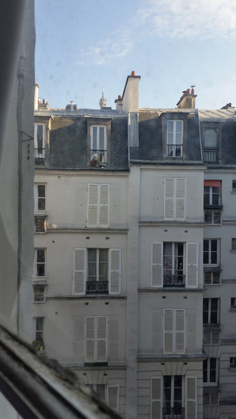 Grand appartement très ensoleillé avec terrasse, une grande chambre, grand salon Paris, France 70m2 proche tour Eiffel Entire rental unit vacation rental 6471779